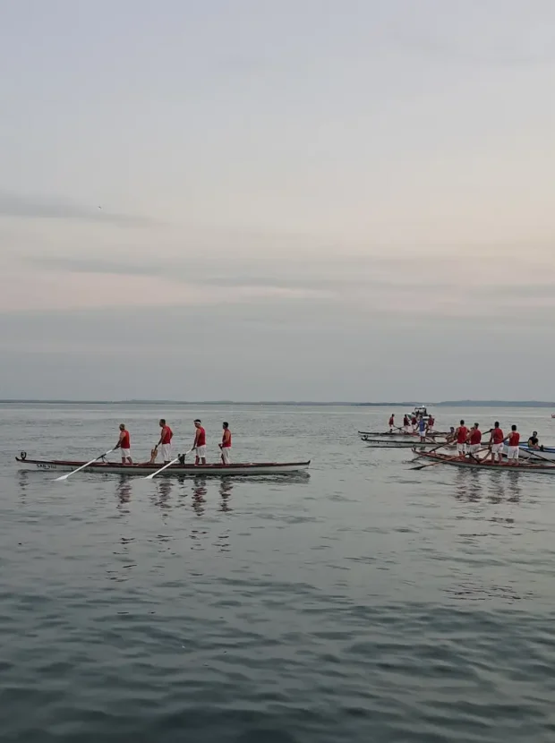Bisse in attesa a Garda alla 6^ regata bisse 2026